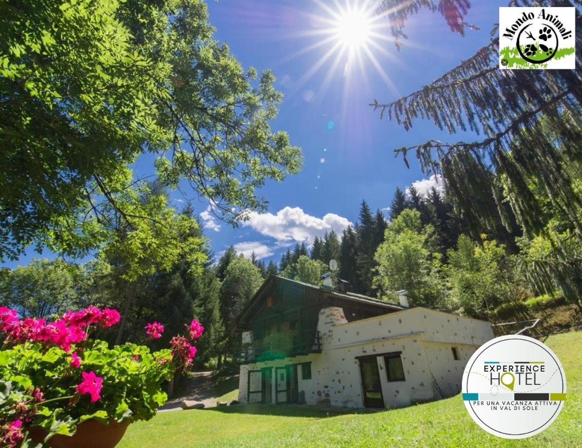 B&B La locanda delle pulci Bio Welness Mezzana  Esterno foto