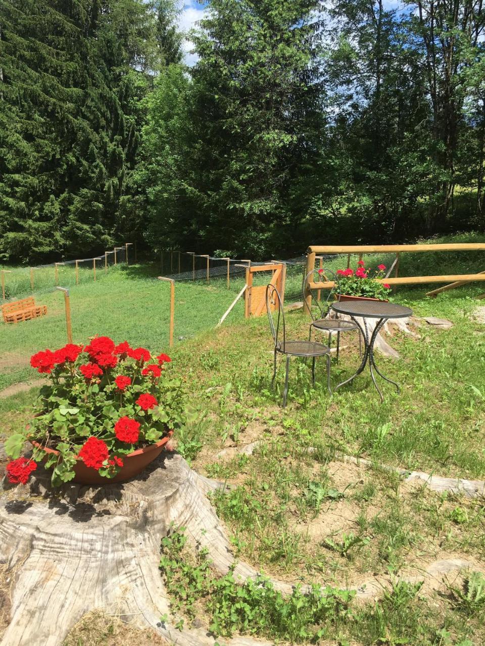 B&B La locanda delle pulci Bio Welness Mezzana  Esterno foto