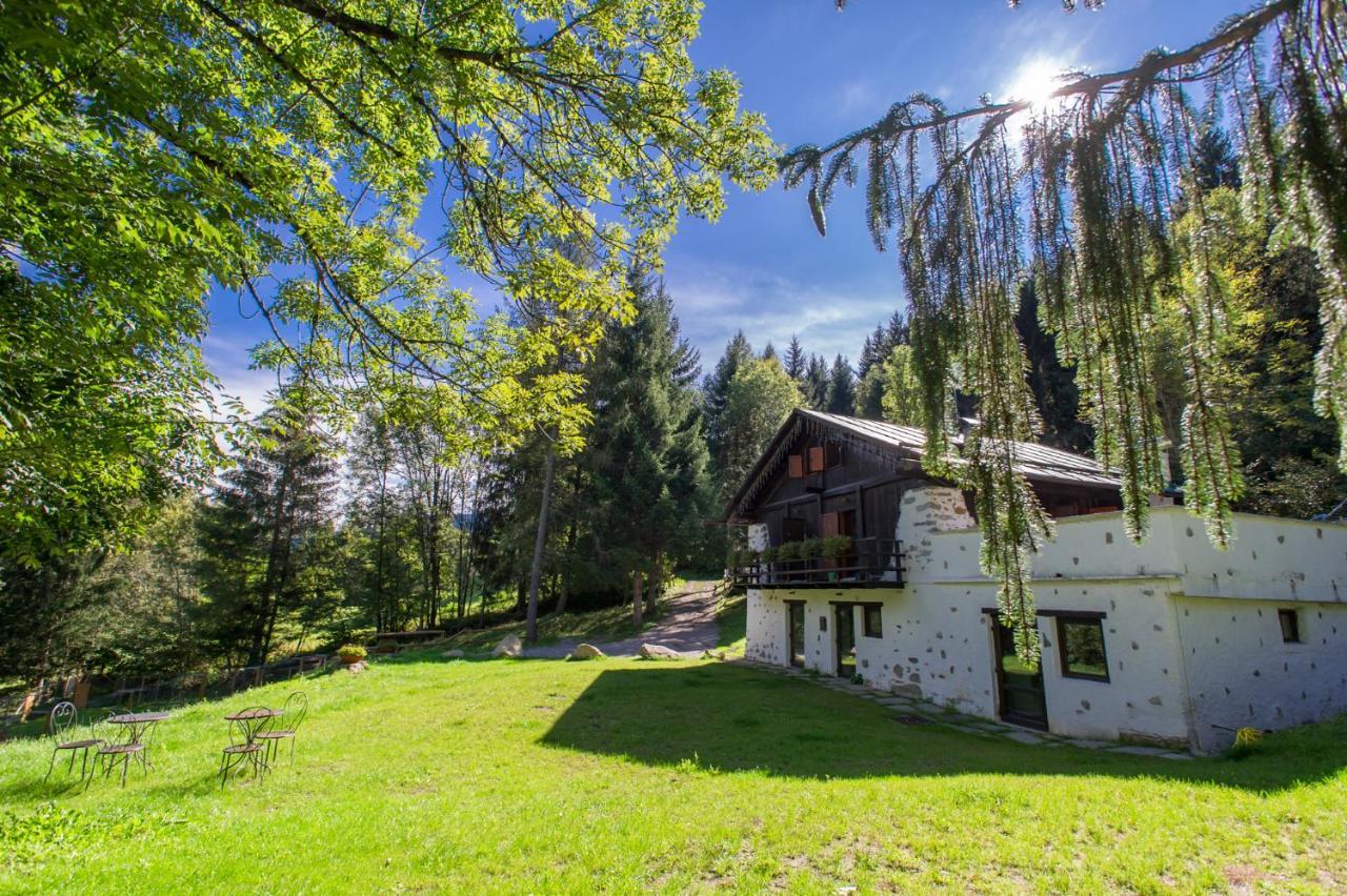 B&B La locanda delle pulci Bio Welness Mezzana  Esterno foto